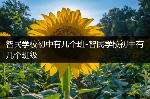 智民学校初中有几个班-智民学校初中有几个班级