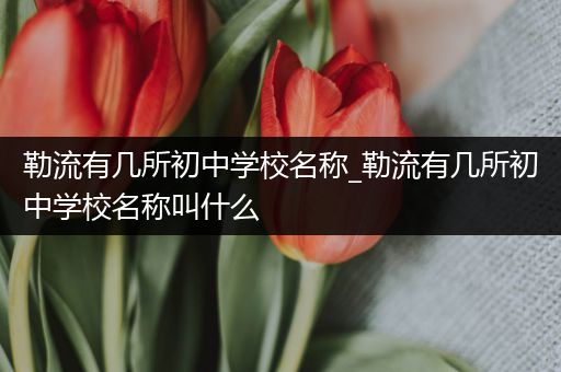 勒流有几所初中学校名称_勒流有几所初中学校名称叫什么