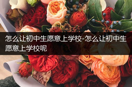 怎么让初中生愿意上学校-怎么让初中生愿意上学校呢