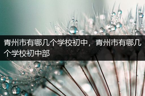 青州市有哪几个学校初中，青州市有哪几个学校初中部