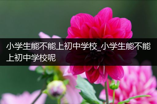 小学生能不能上初中学校_小学生能不能上初中学校呢