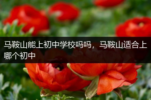马鞍山能上初中学校吗吗，马鞍山适合上哪个初中