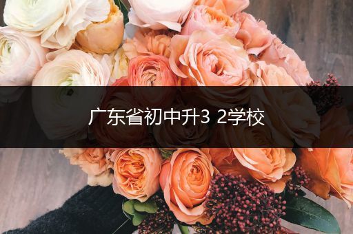 广东省初中升3 2学校