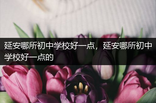 延安哪所初中学校好一点，延安哪所初中学校好一点的