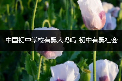 中国初中学校有黑人吗吗_初中有黑社会