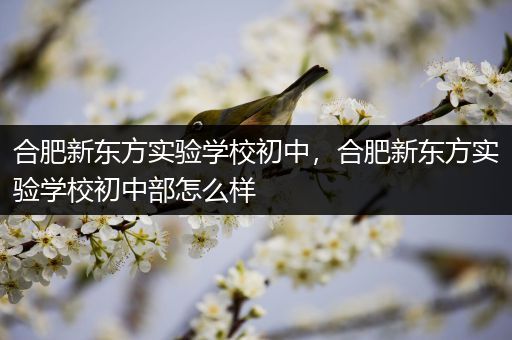 合肥新东方实验学校初中，合肥新东方实验学校初中部怎么样