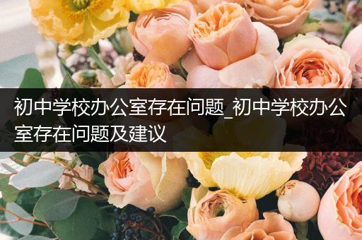初中学校办公室存在问题_初中学校办公室存在问题及建议