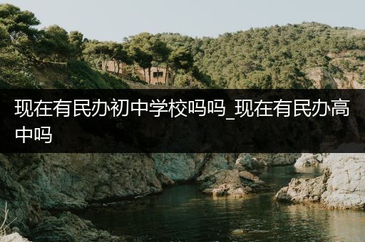 现在有民办初中学校吗吗_现在有民办高中吗