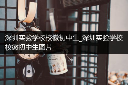 深圳实验学校校徽初中生_深圳实验学校校徽初中生图片