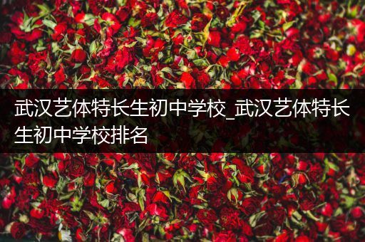 武汉艺体特长生初中学校_武汉艺体特长生初中学校排名