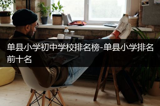 单县小学初中学校排名榜-单县小学排名前十名