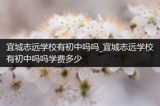 宜城志远学校有初中吗吗_宜城志远学校有初中吗吗学费多少