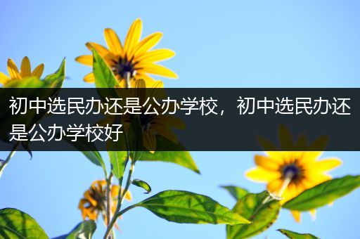 初中选民办还是公办学校，初中选民办还是公办学校好