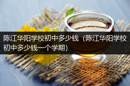 陈江华阳学校初中多少钱（陈江华阳学校初中多少钱一个学期）