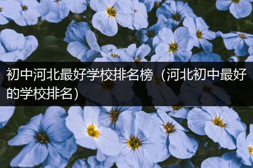 初中河北最好学校排名榜（河北初中最好的学校排名）