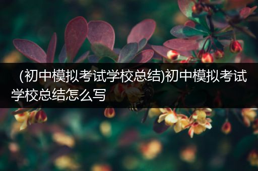 （初中模拟考试学校总结)初中模拟考试学校总结怎么写