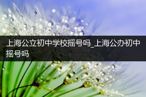 上海公立初中学校摇号吗_上海公办初中摇号吗