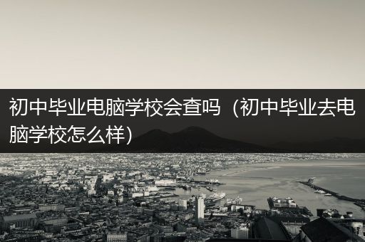 初中毕业电脑学校会查吗（初中毕业去电脑学校怎么样）