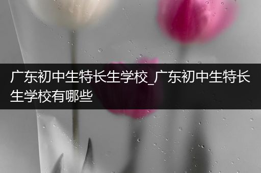 广东初中生特长生学校_广东初中生特长生学校有哪些