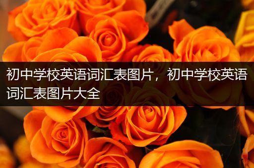 初中学校英语词汇表图片，初中学校英语词汇表图片大全