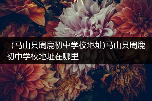 （马山县周鹿初中学校地址)马山县周鹿初中学校地址在哪里