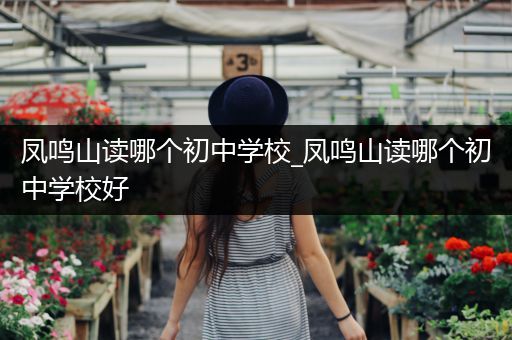 凤鸣山读哪个初中学校_凤鸣山读哪个初中学校好