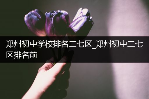 郑州初中学校排名二七区_郑州初中二七区排名前