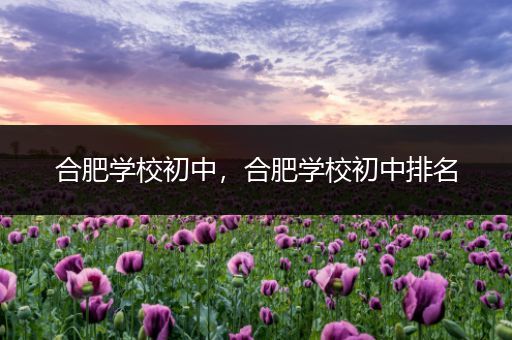 合肥学校初中，合肥学校初中排名