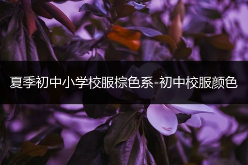 夏季初中小学校服棕色系-初中校服颜色