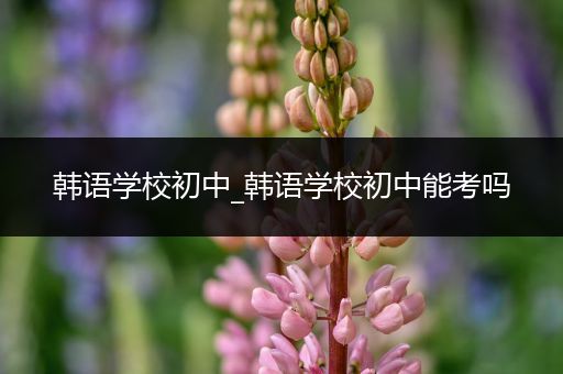 韩语学校初中_韩语学校初中能考吗