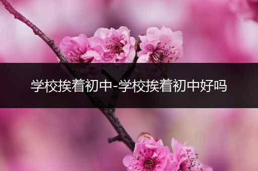 学校挨着初中-学校挨着初中好吗