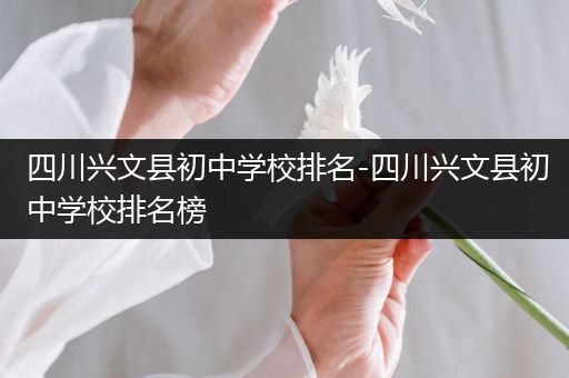 四川兴文县初中学校排名-四川兴文县初中学校排名榜