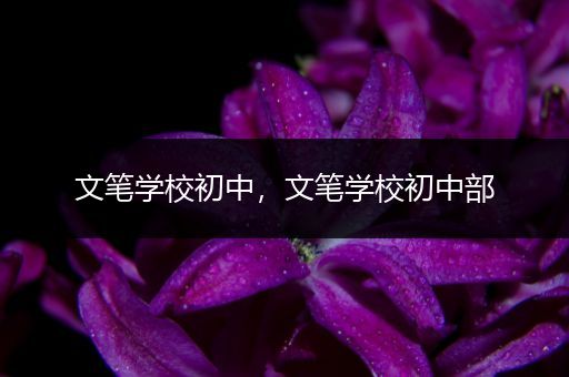 文笔学校初中，文笔学校初中部