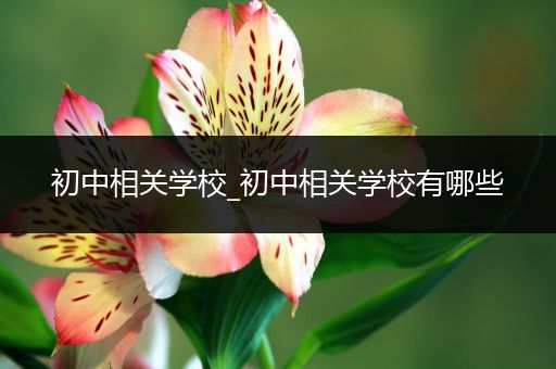 初中相关学校_初中相关学校有哪些