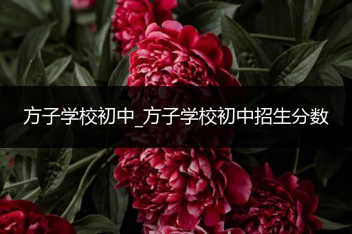方子学校初中_方子学校初中招生分数