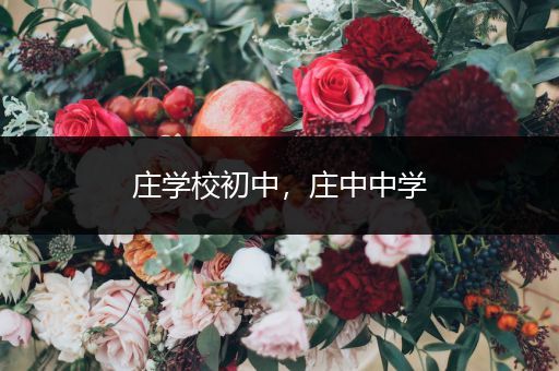 庄学校初中，庄中中学