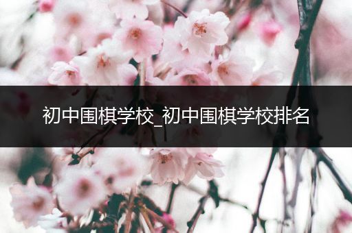 初中围棋学校_初中围棋学校排名