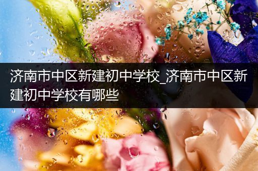 济南市中区新建初中学校_济南市中区新建初中学校有哪些