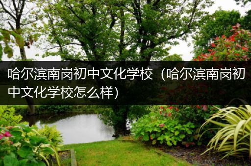哈尔滨南岗初中文化学校（哈尔滨南岗初中文化学校怎么样）
