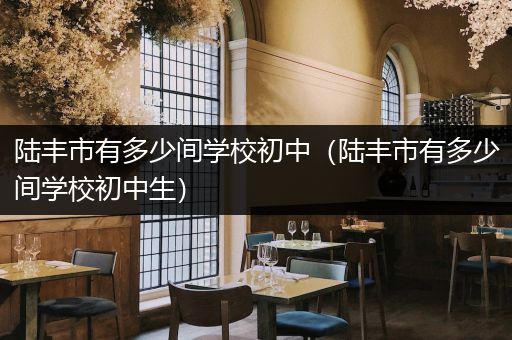 陆丰市有多少间学校初中（陆丰市有多少间学校初中生）