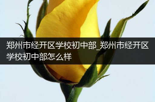 郑州市经开区学校初中部_郑州市经开区学校初中部怎么样