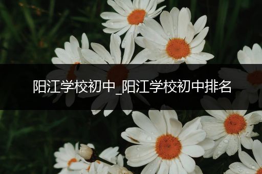 阳江学校初中_阳江学校初中排名