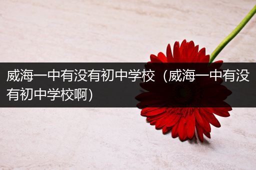 威海一中有没有初中学校（威海一中有没有初中学校啊）