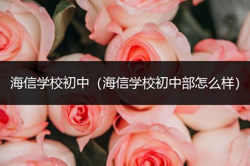 海信学校初中（海信学校初中部怎么样）
