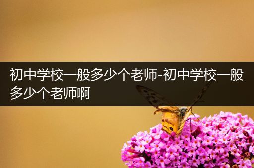 初中学校一般多少个老师-初中学校一般多少个老师啊