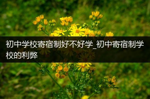 初中学校寄宿制好不好学_初中寄宿制学校的利弊