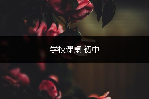 学校课桌 初中