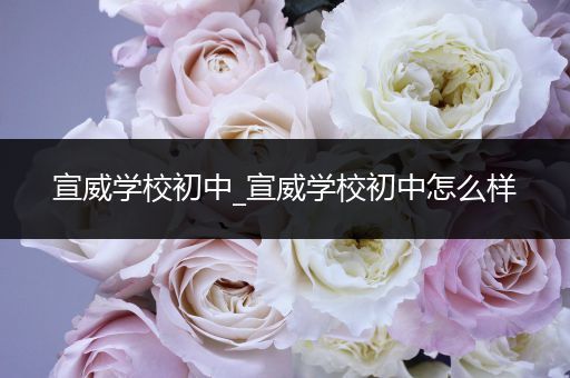 宣威学校初中_宣威学校初中怎么样