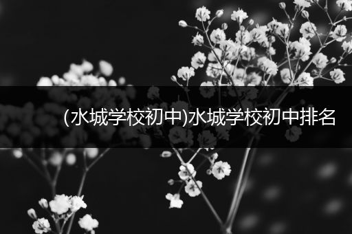 （水城学校初中)水城学校初中排名