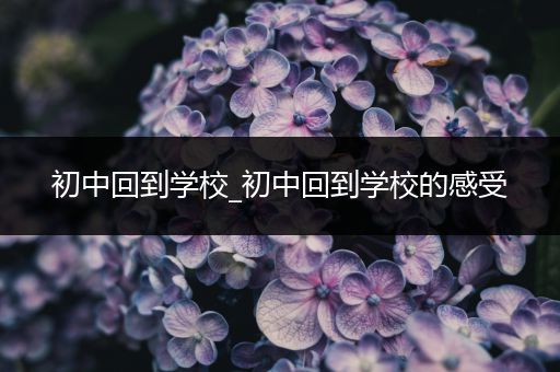 初中回到学校_初中回到学校的感受